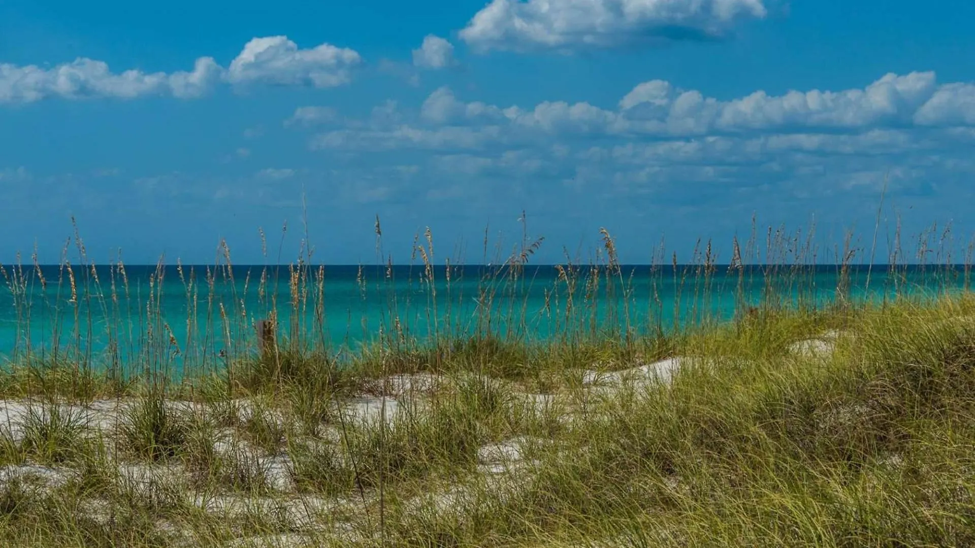 1 1807 Calypso Resort Towers Panama City Beach United States